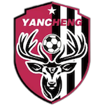 盐城队队标